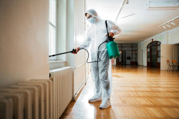 Best Fumigation Services  in Pretty Bayou, FL